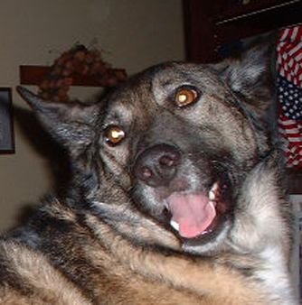 juno