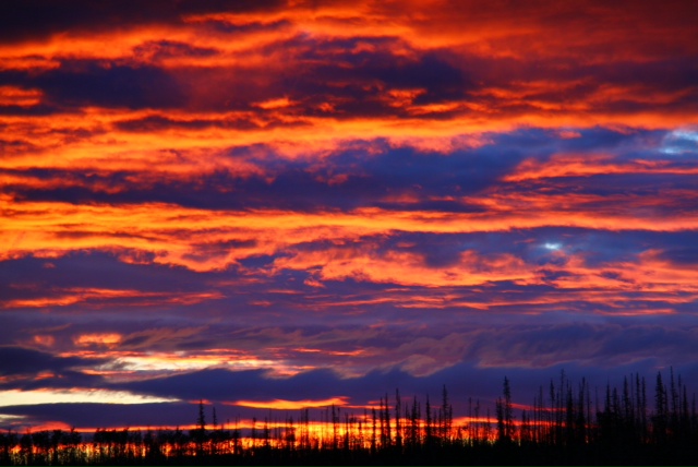 http://www.bartcop.com/astrocat-yukon-river-sunrise.jpg