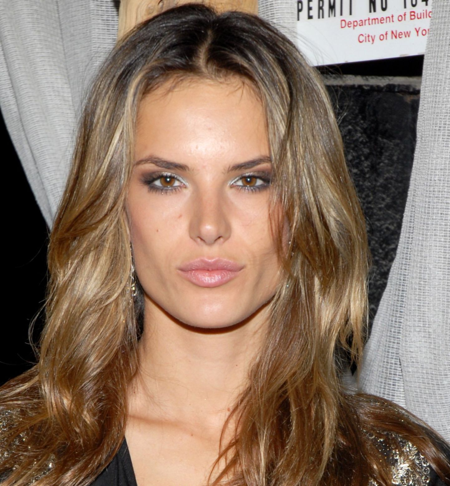 >Alessandra Ambrosio