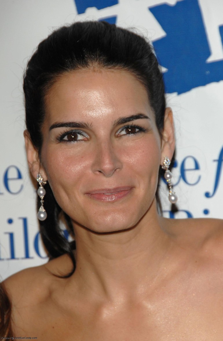 >Angie Harmon