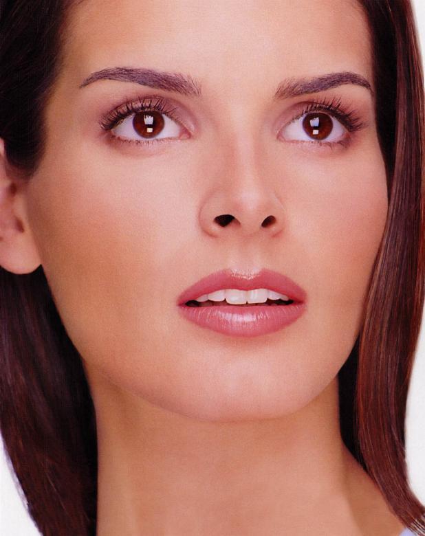 >Angie Harmon