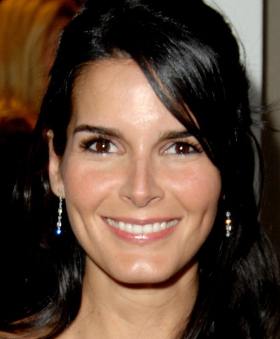 >Angie Harmon