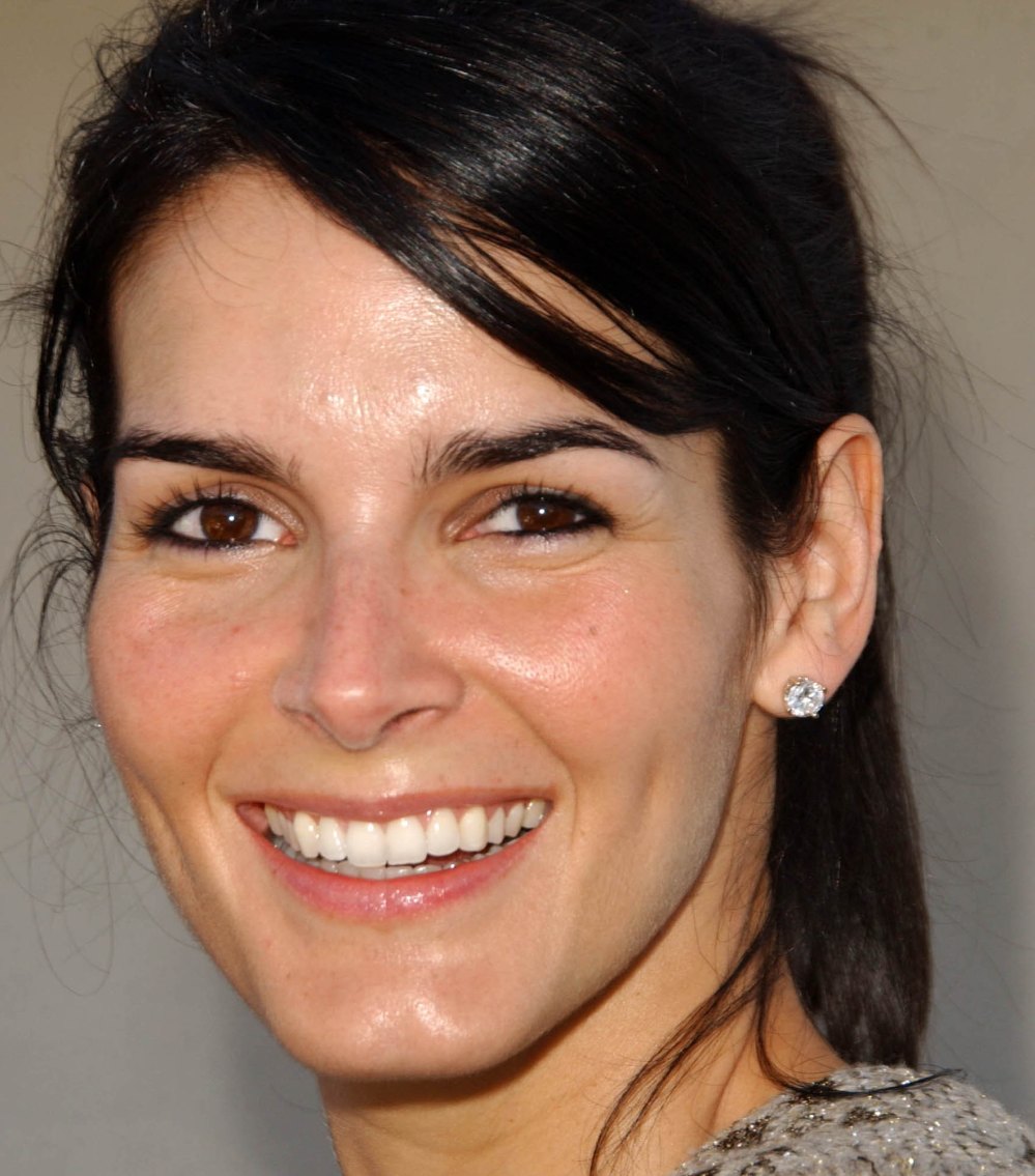 >Angie Harmon