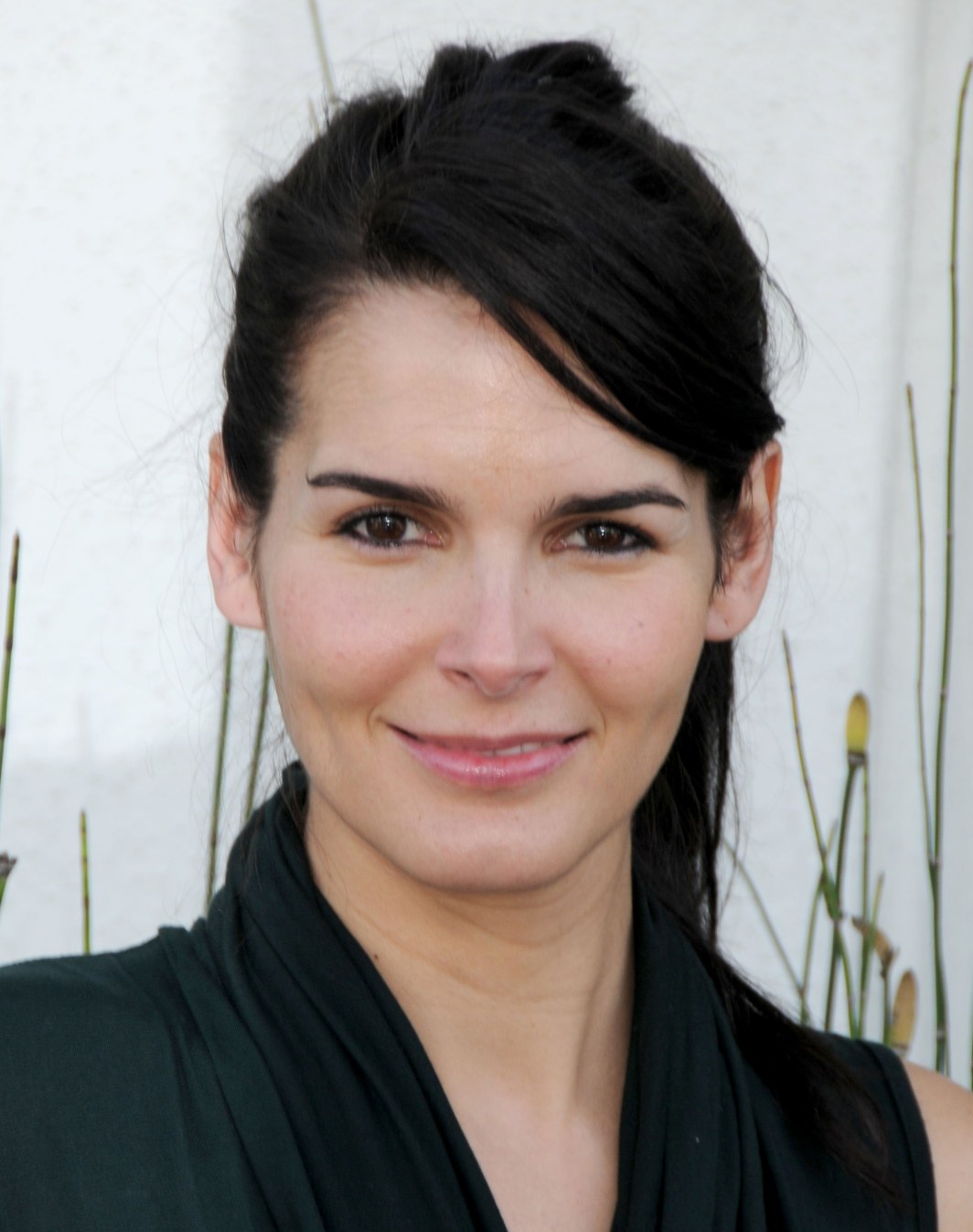>Angie Harmon