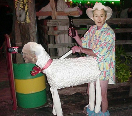 bush-f-sheep.jpg