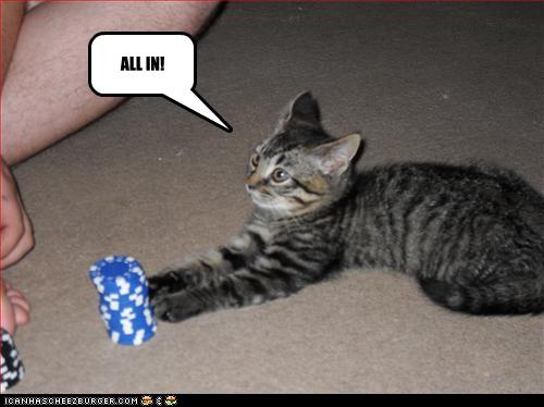 http://www.bartcop.com/cat-plays-poker.jpg