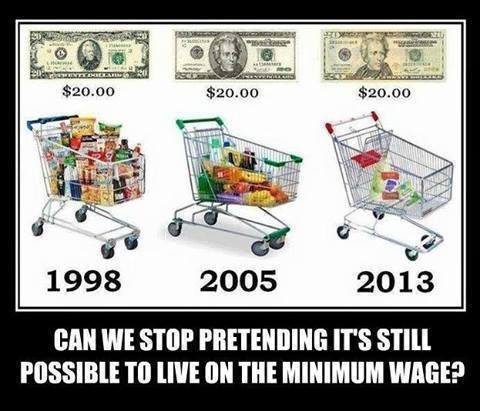 Shrinking grocery cart that $20 will buy, 1998 to 2013.