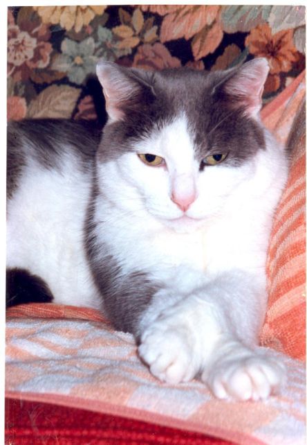 mrb