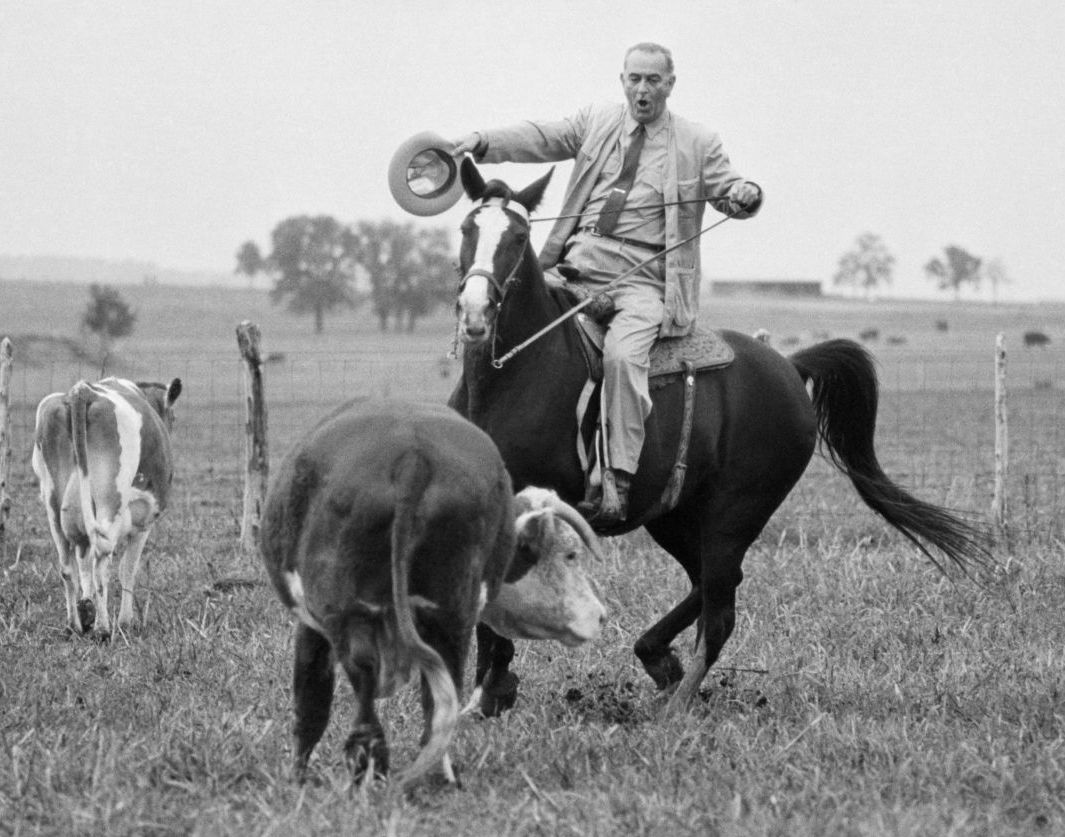 rawhide