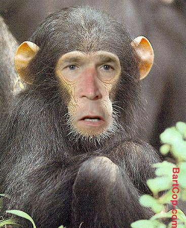 [Image: ugly-chimp.jpg]