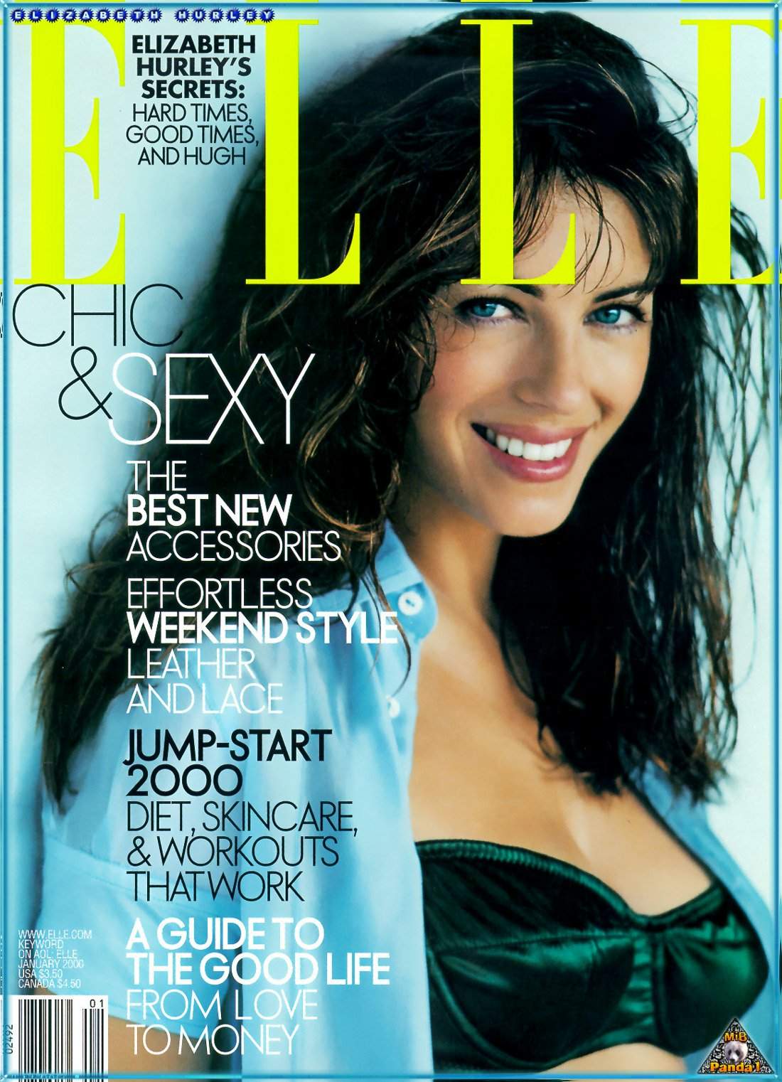 >Elizabeth Hurley