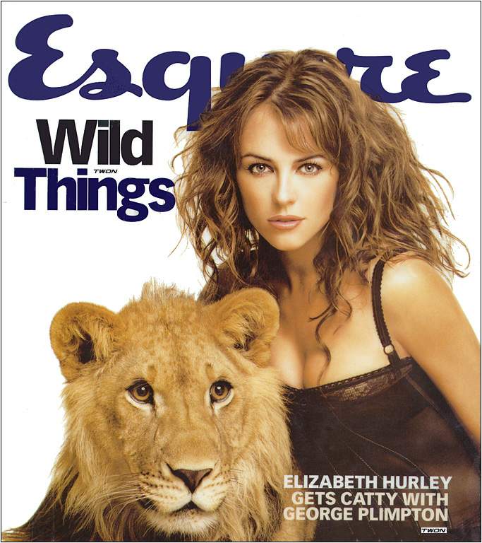 >Elizabeth Hurley