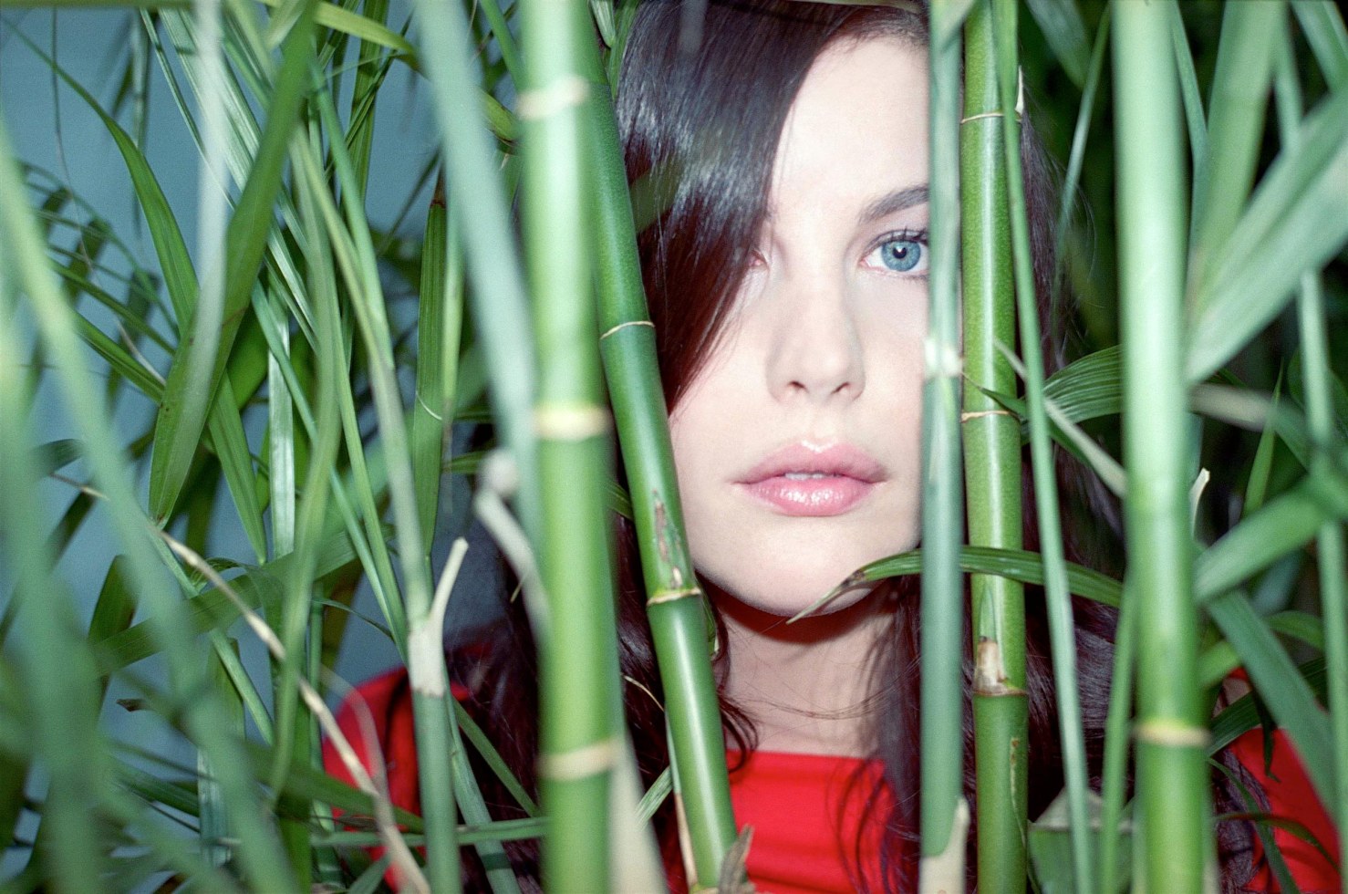 >Liv Tyler