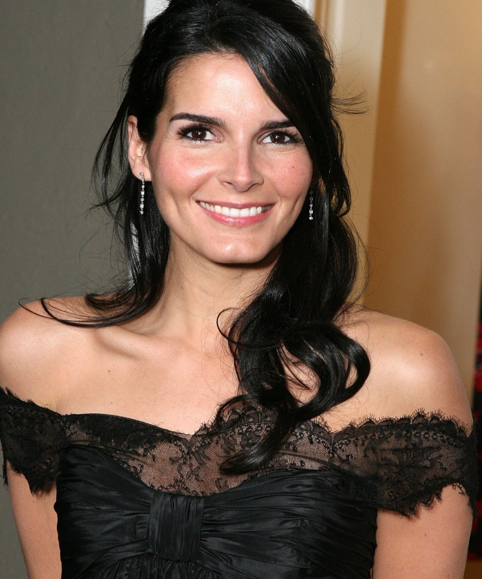>Angie Harmon