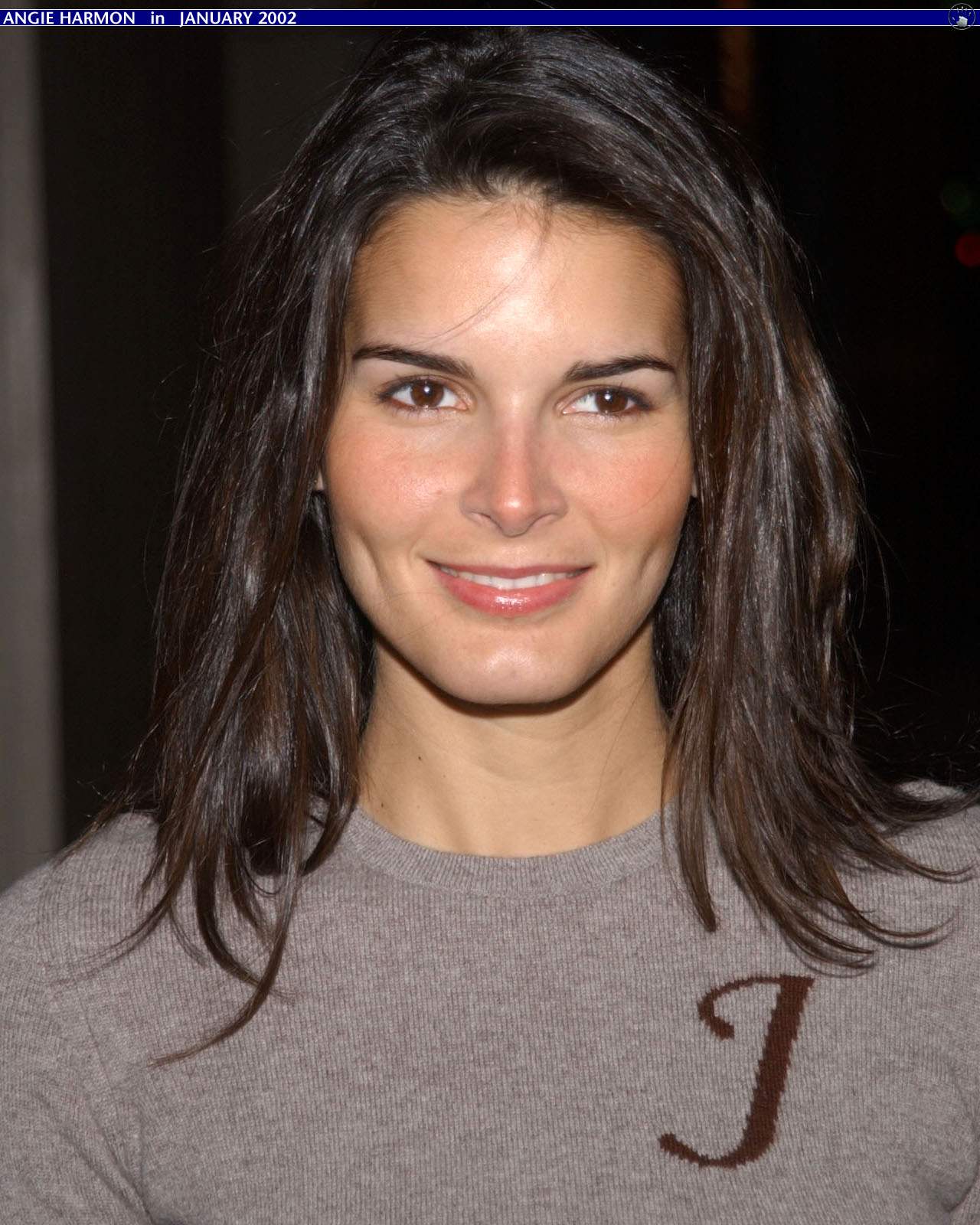 >Angie Harmon