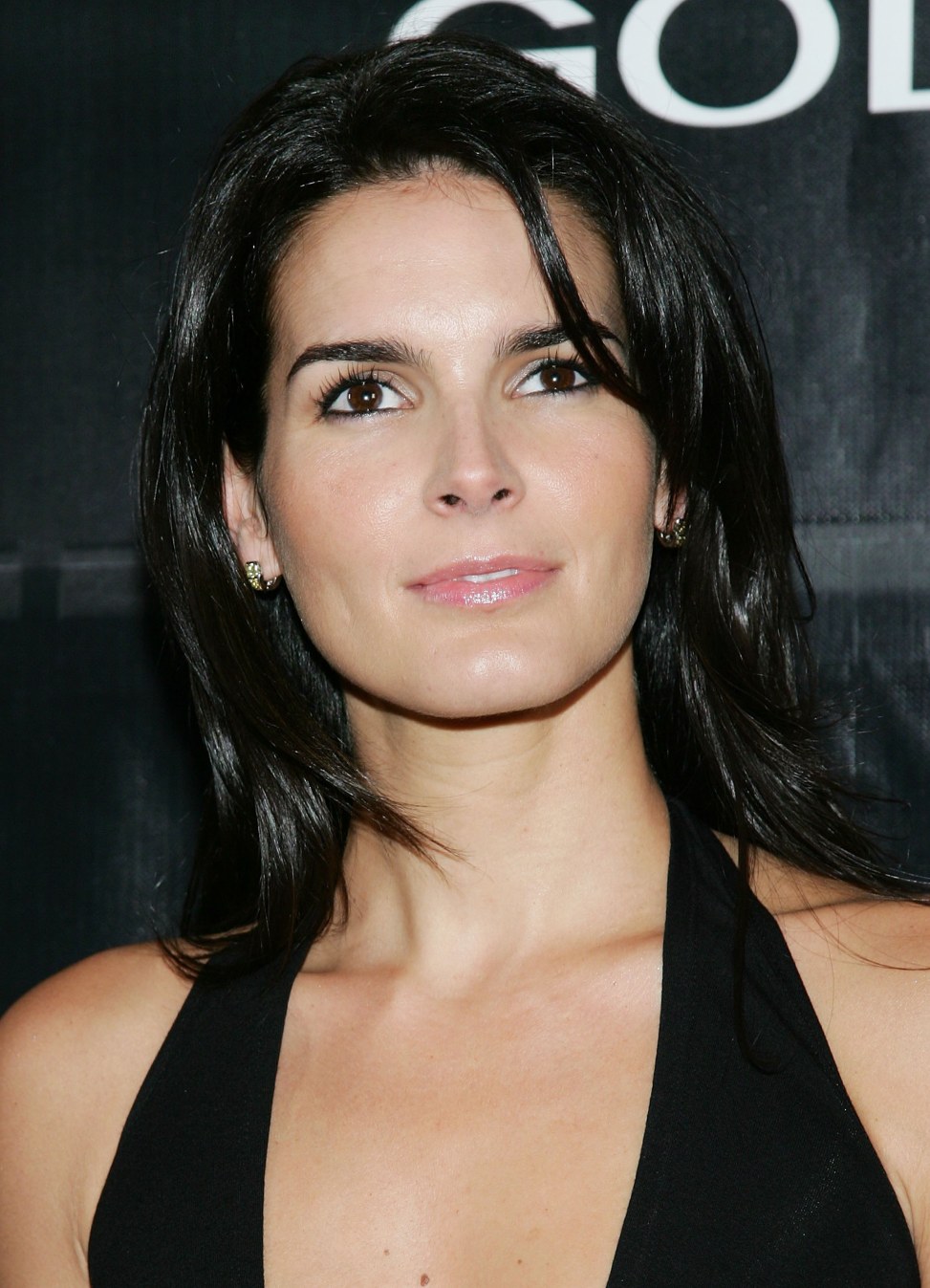 >Angie Harmon