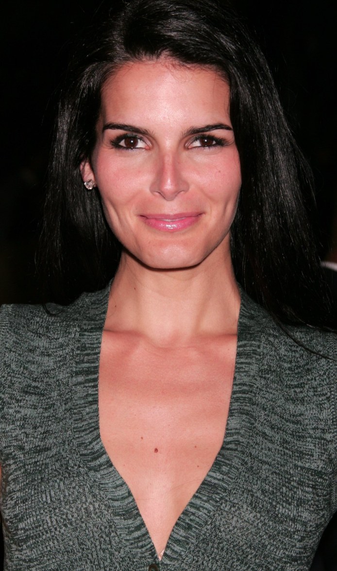 >Angie Harmon