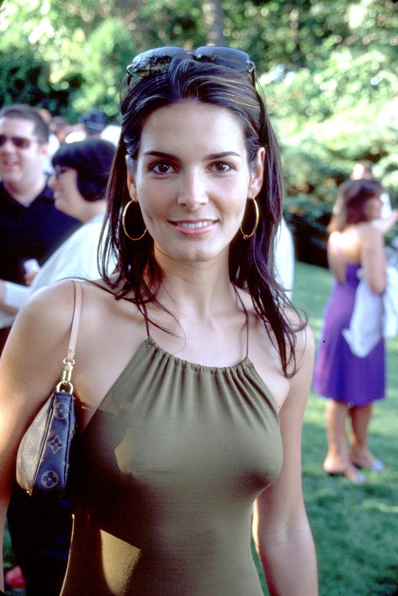 >Angie Harmon