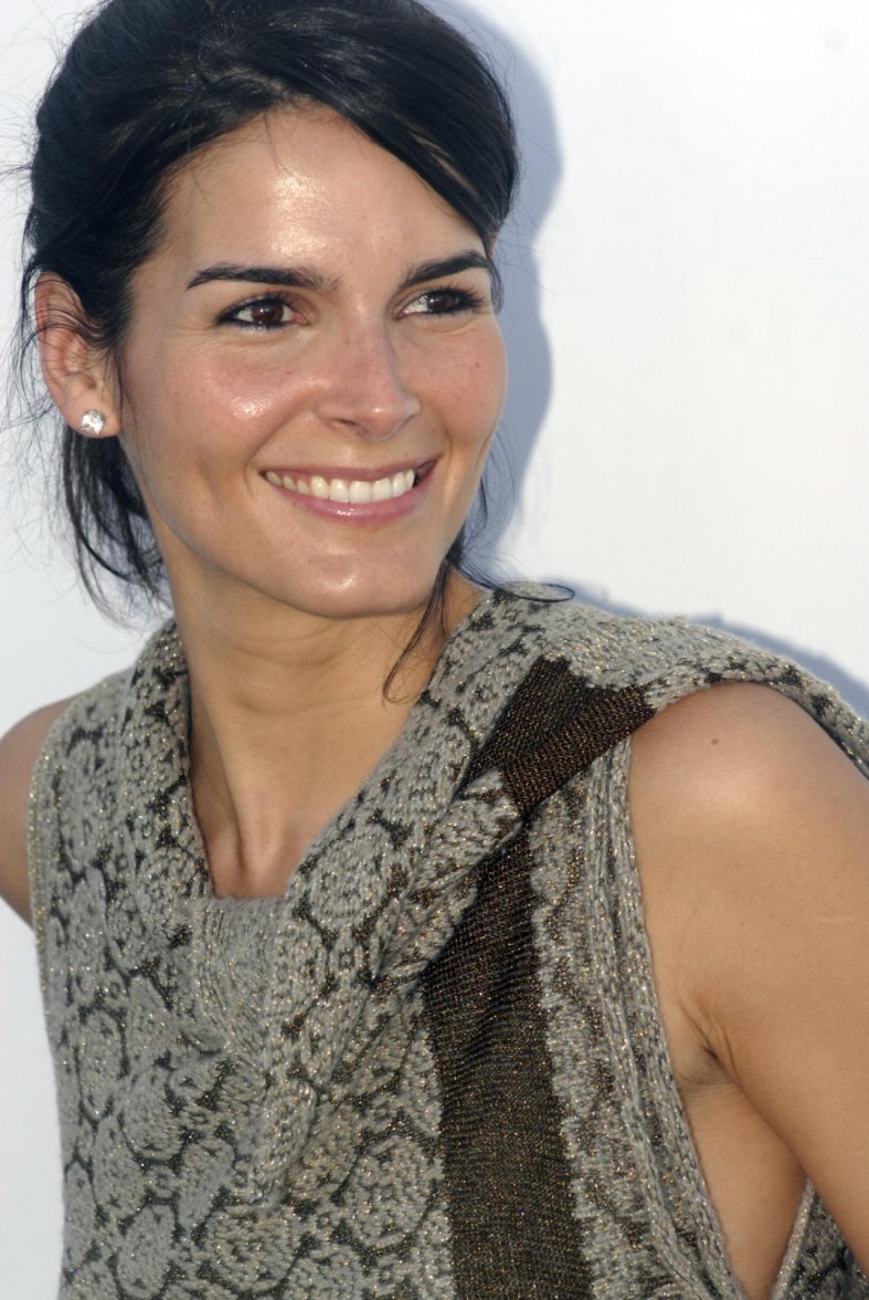 >Angie Harmon