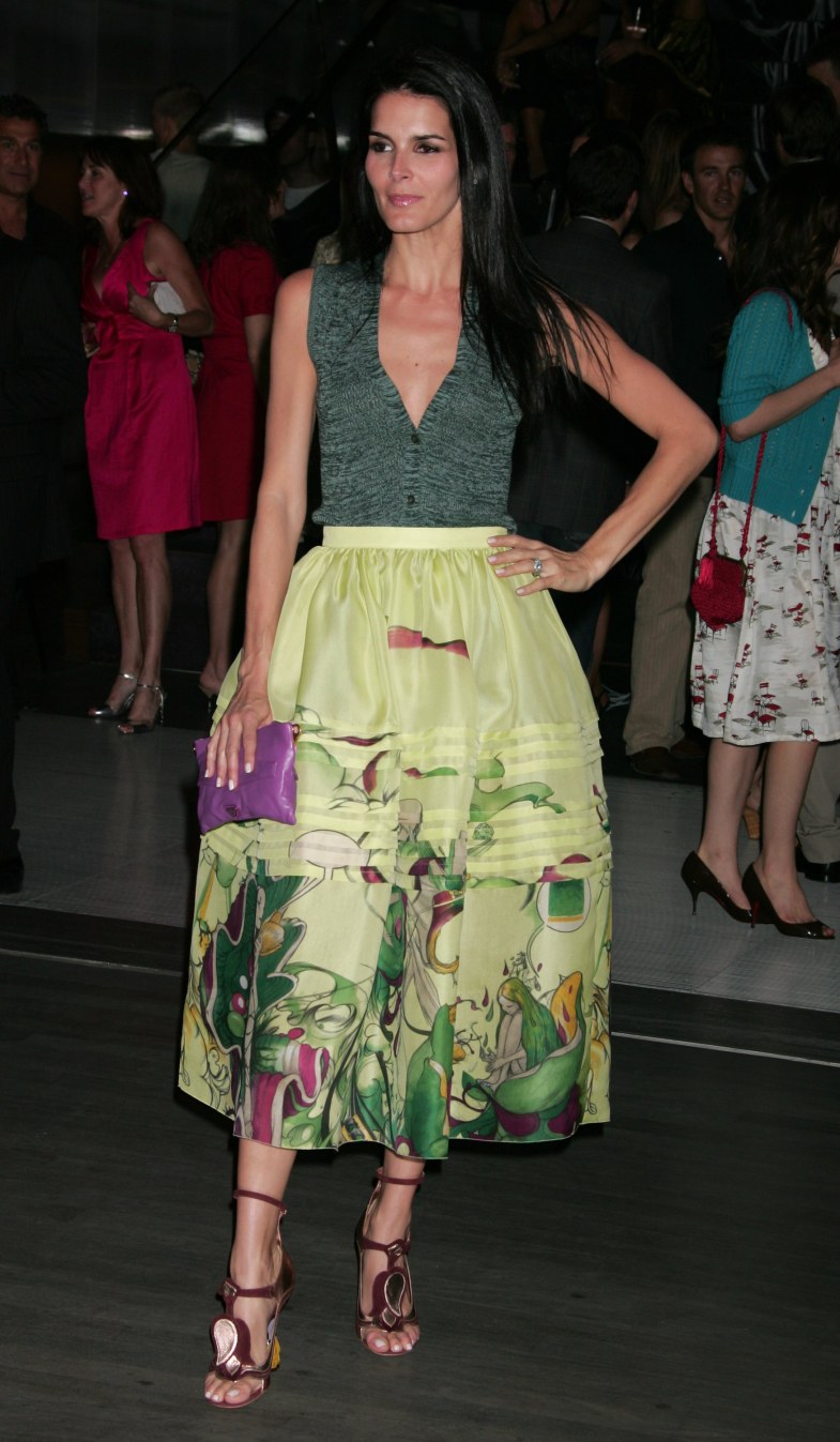 >Angie Harmon