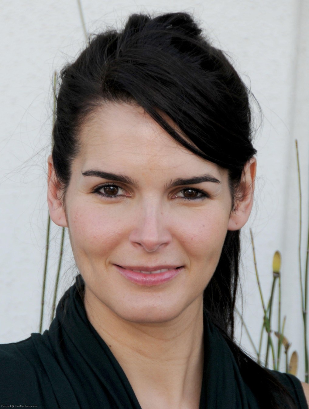 >Angie Harmon
