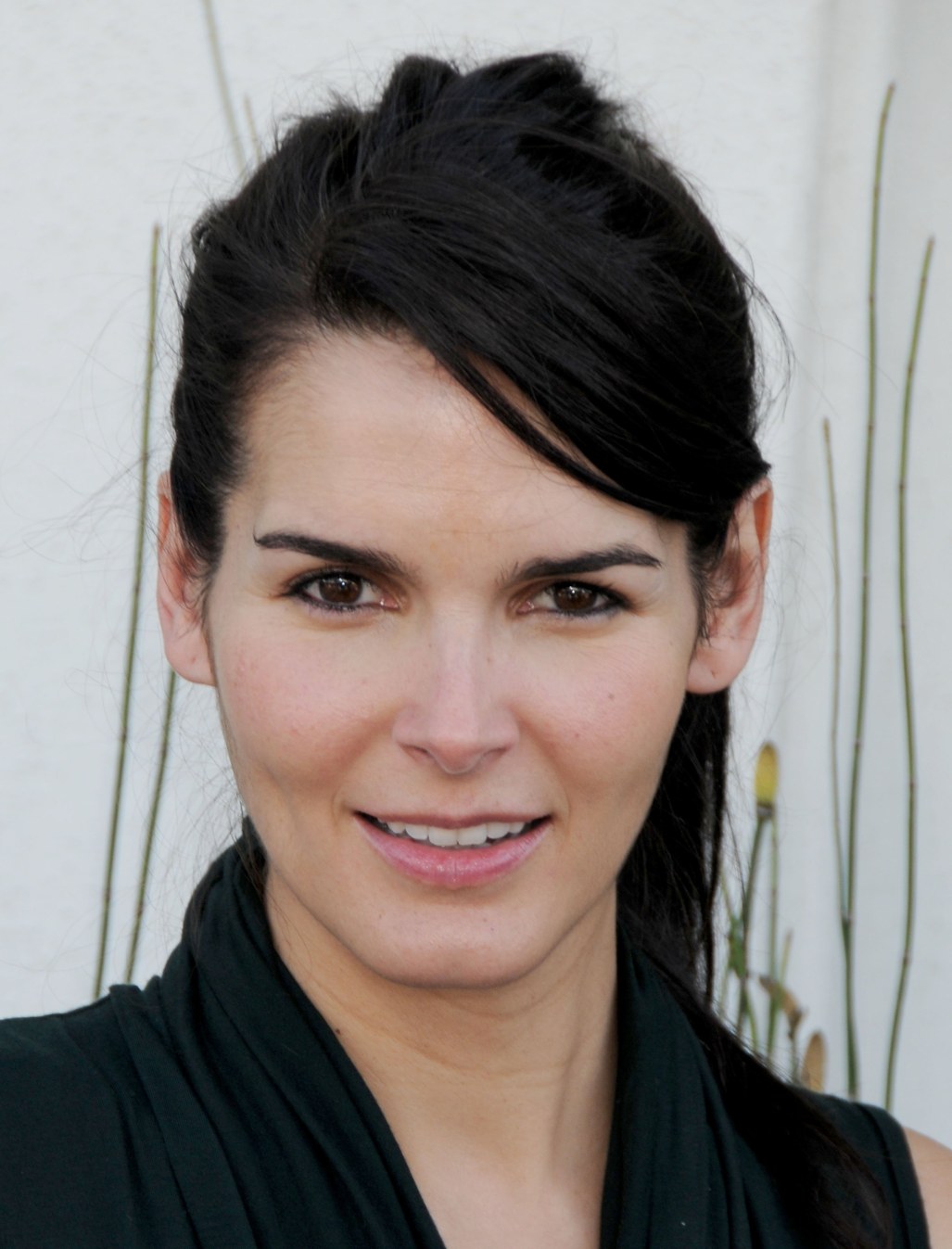 >Angie Harmon