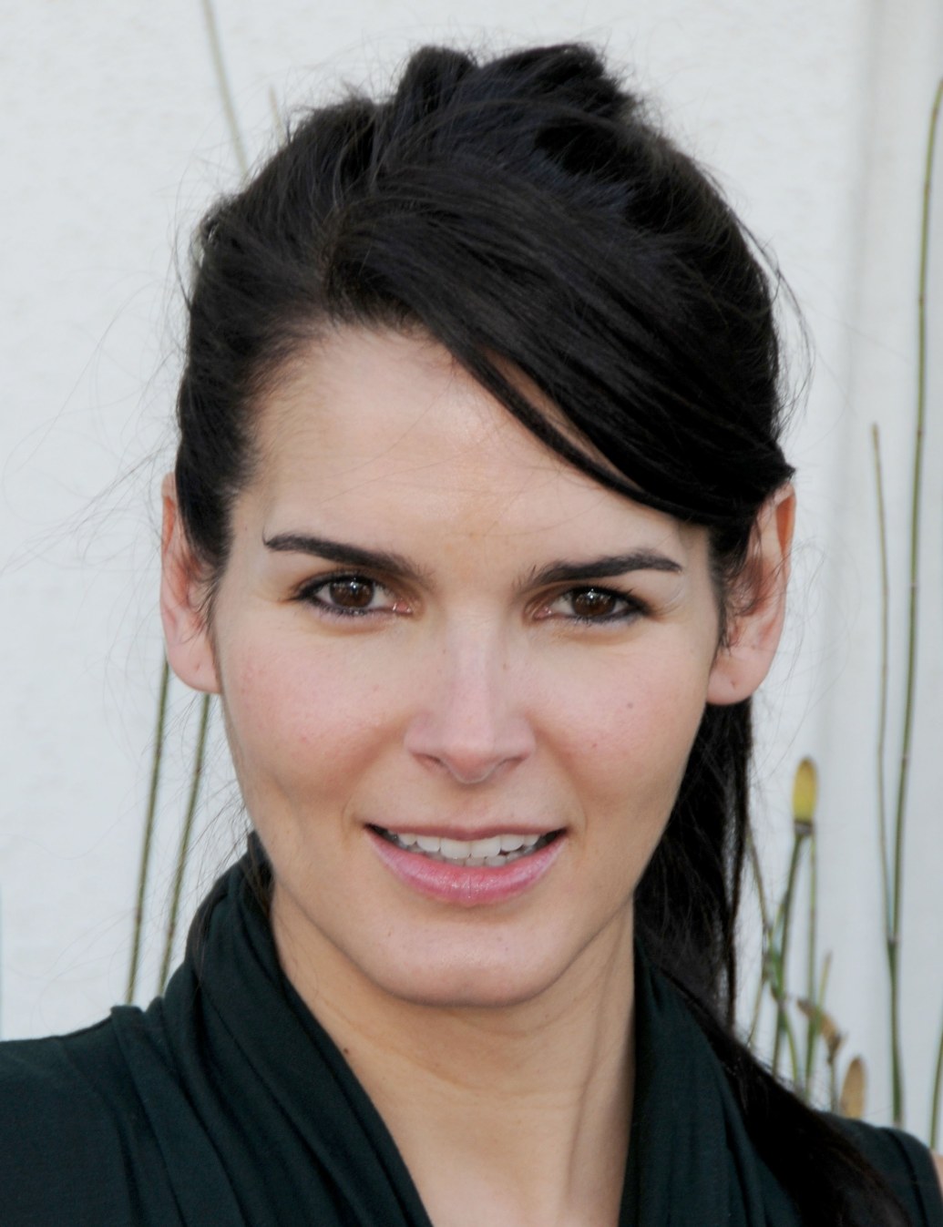 >Angie Harmon