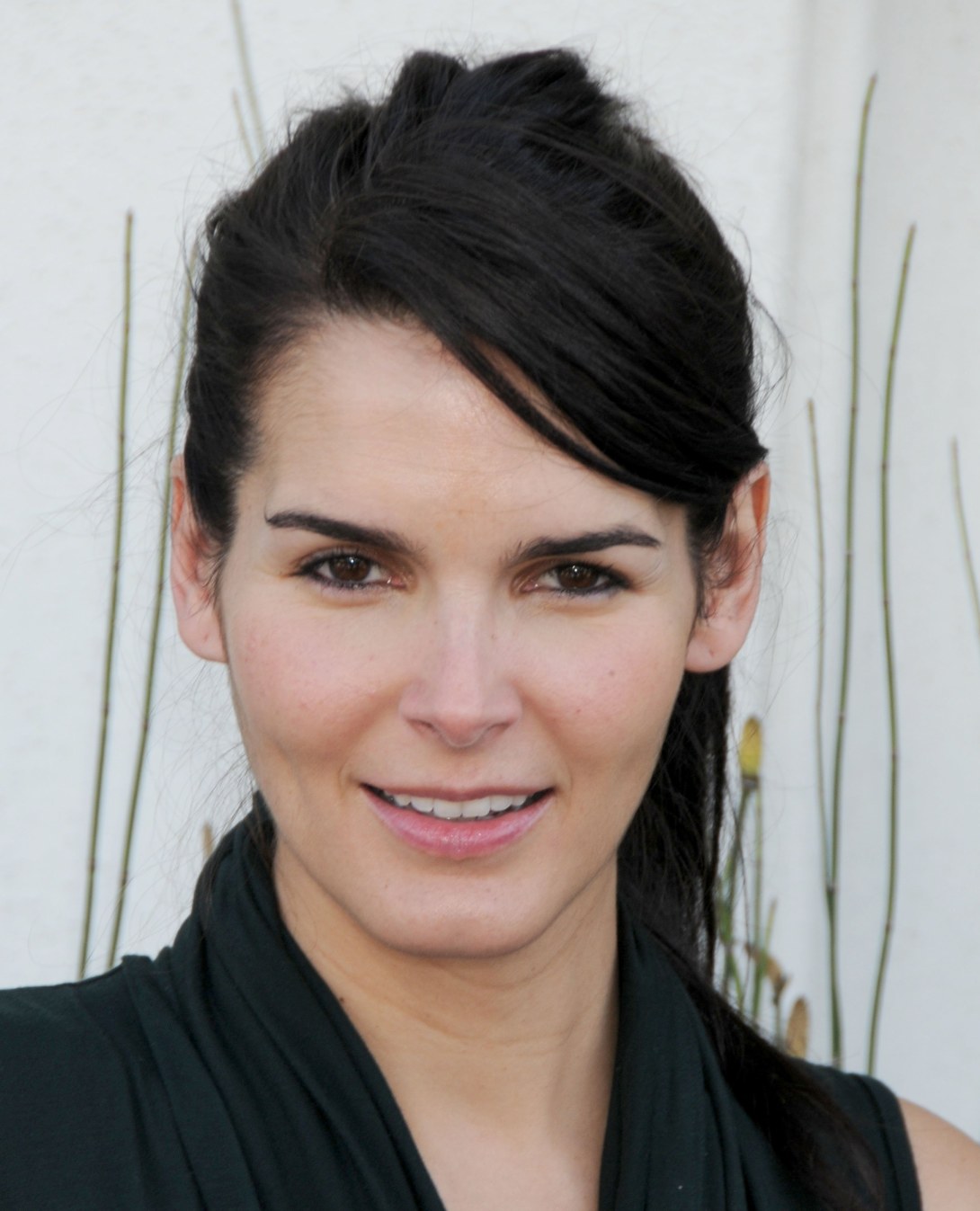 >Angie Harmon