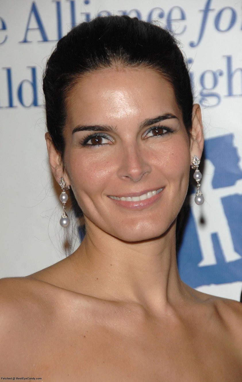 >Angie Harmon