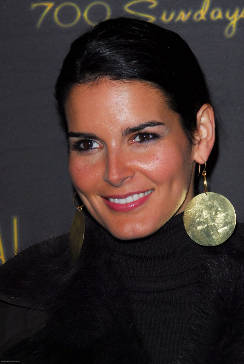 >Angie Harmon