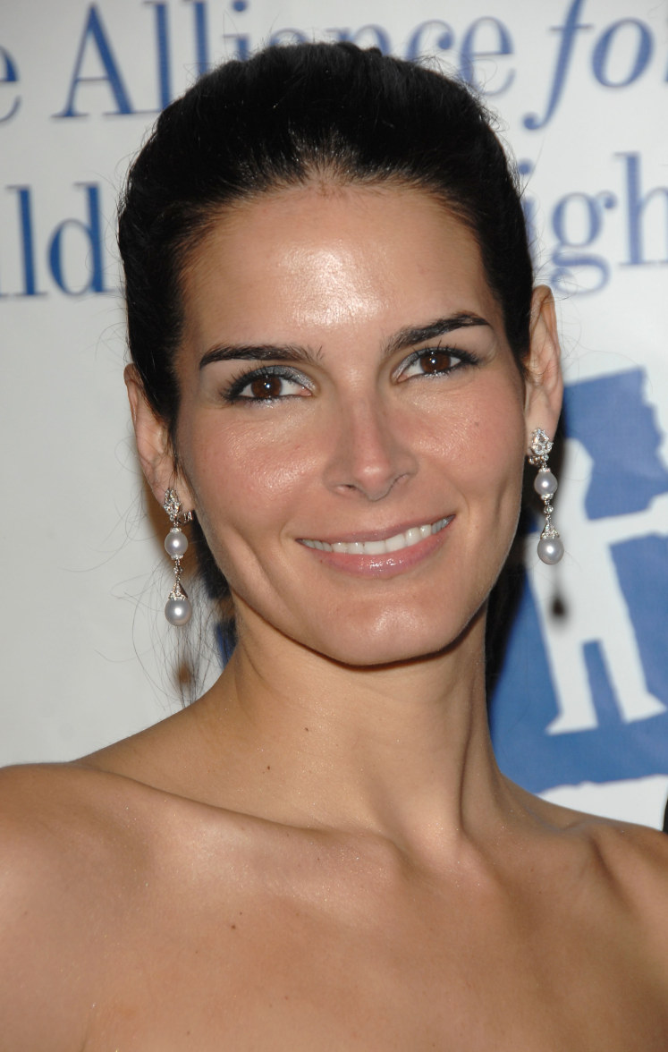 >Angie Harmon
