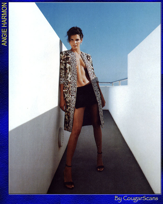>Angie Harmon