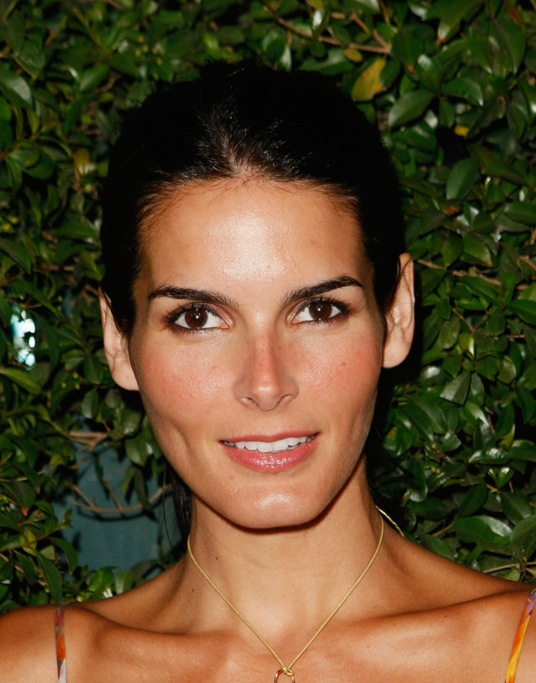 >Angie Harmon