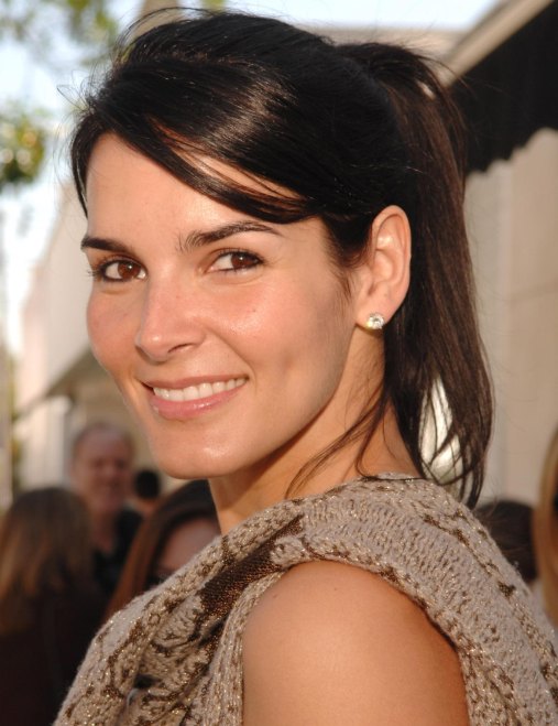 >Angie Harmon