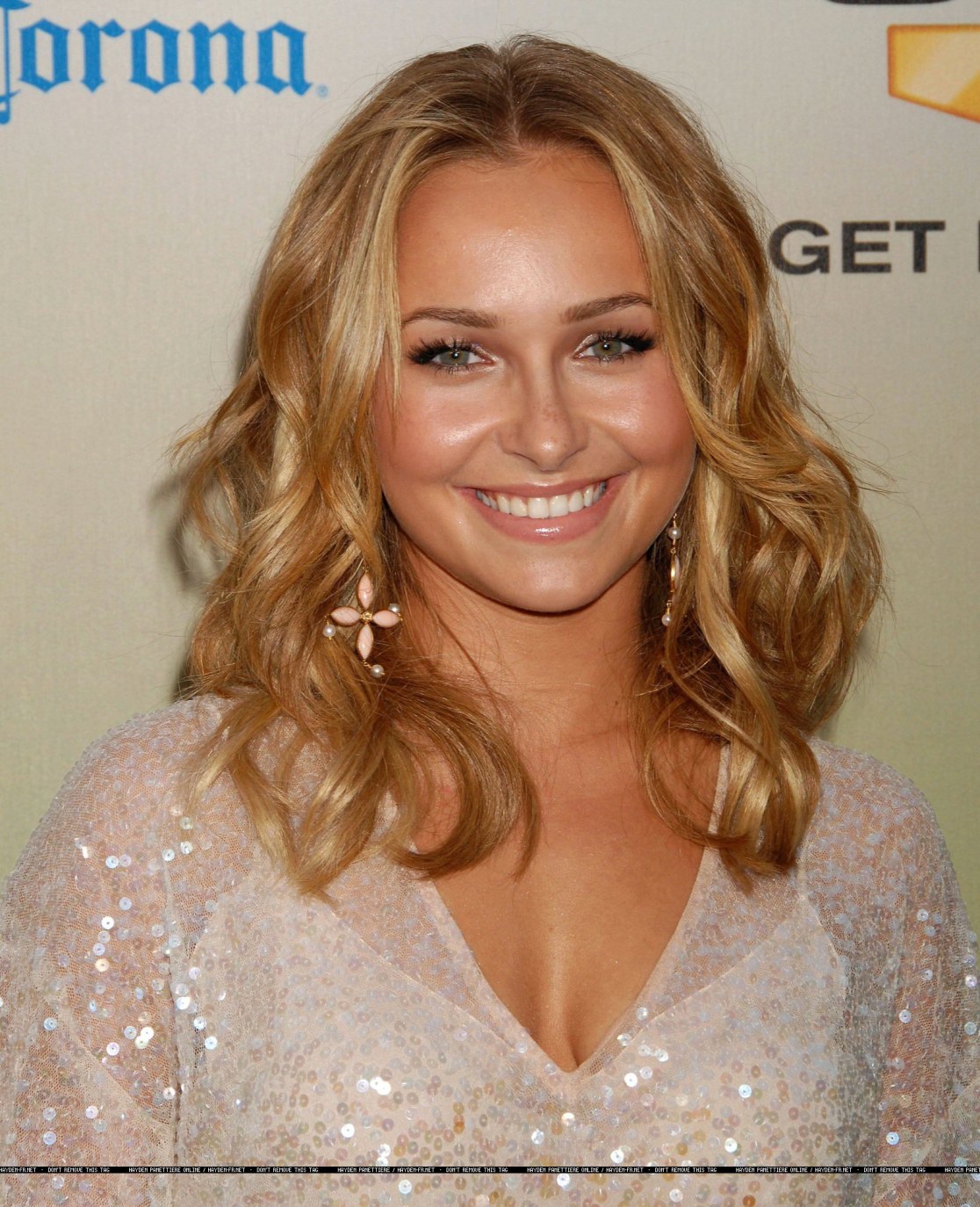 >Hayden Panettiere