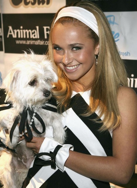 >Hayden Panettiere
