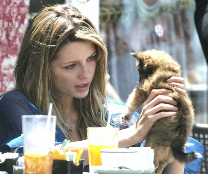 >Mischa Barton