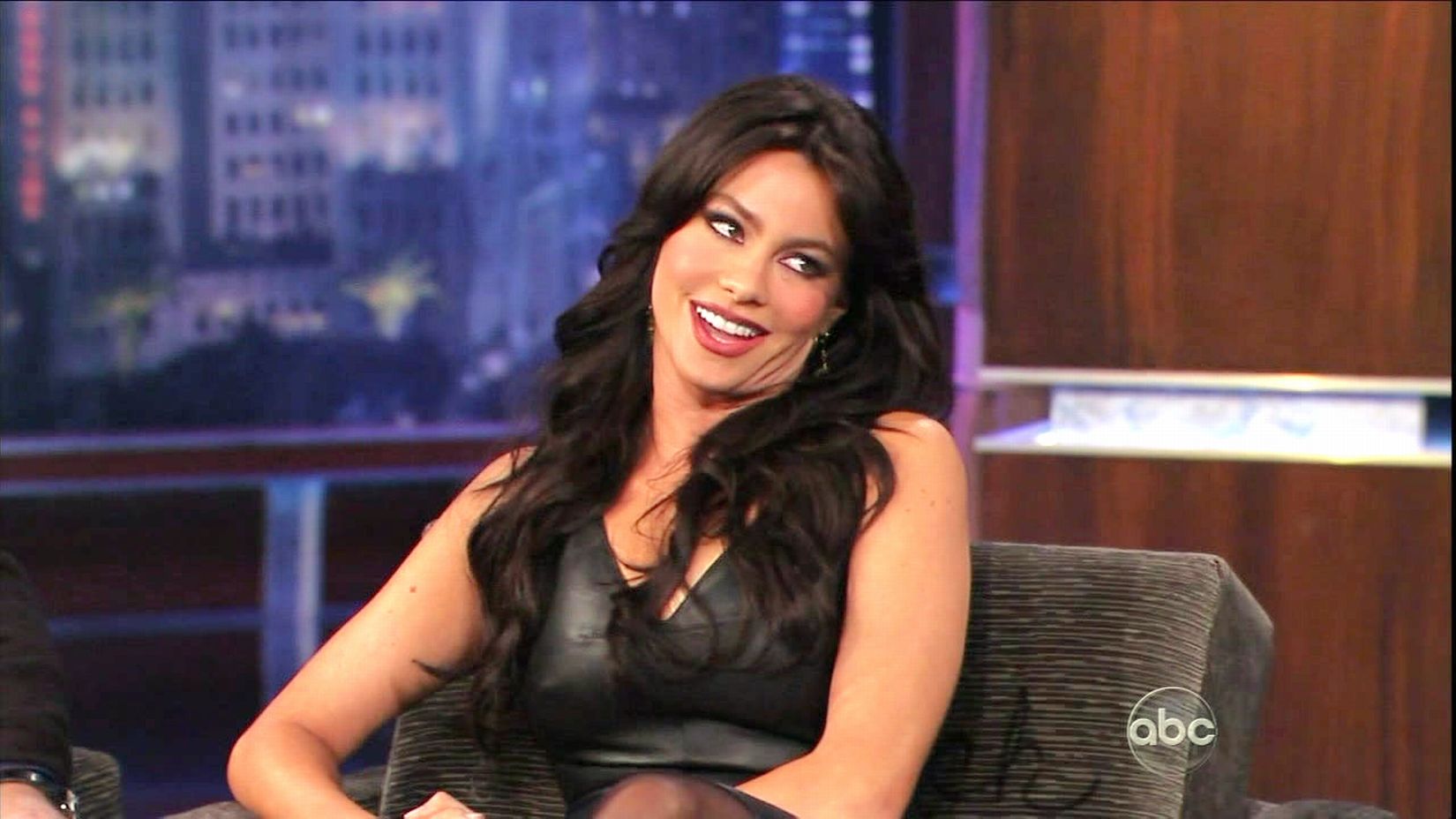 >Sofia Vergara