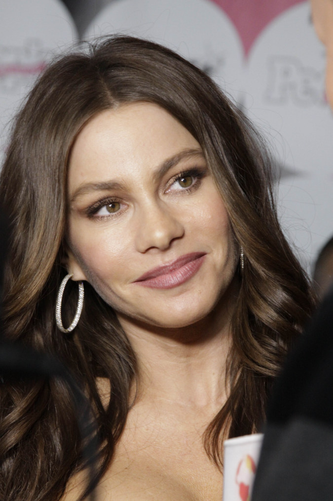 >Sofia Vergara